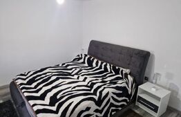 Casă de vânzare Băilești – 100 mp, curte proprie