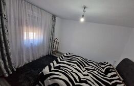 Casă de vânzare Băilești – 100 mp, curte proprie