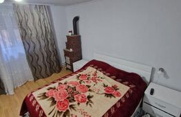 Casă de vânzare Băilești – 100 mp, curte proprie