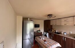 Casă în Malu Mare, teren 2354 mp,curte mare și potențial extindere