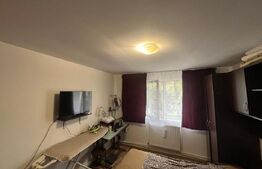 Casă în Malu Mare, teren 2354 mp,curte mare și potențial extindere