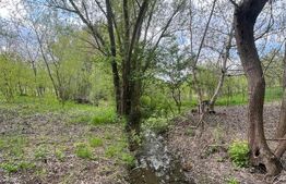 Teren 2117 mp în Malu Mare, cadru natural cu pârâu