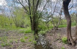 Teren 2117 mp în Malu Mare, cadru natural cu pârâu