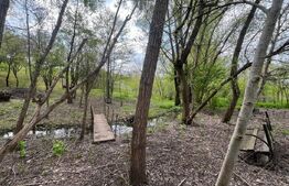 Teren 2117 mp în Malu Mare, cadru natural cu pârâu