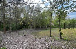 Teren 2117 mp în Malu Mare, cadru natural cu pârâu