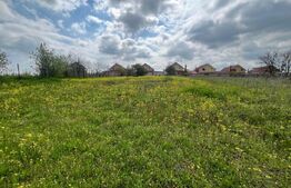 Teren 2117 mp în Malu Mare, cadru natural cu pârâu