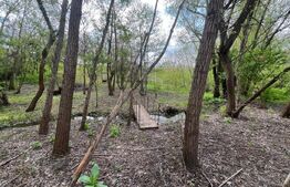 Teren 2117 mp în Malu Mare, cadru natural cu pârâu