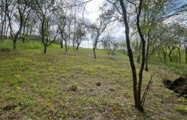 Teren 2117 mp în Malu Mare, cadru natural cu pârâu