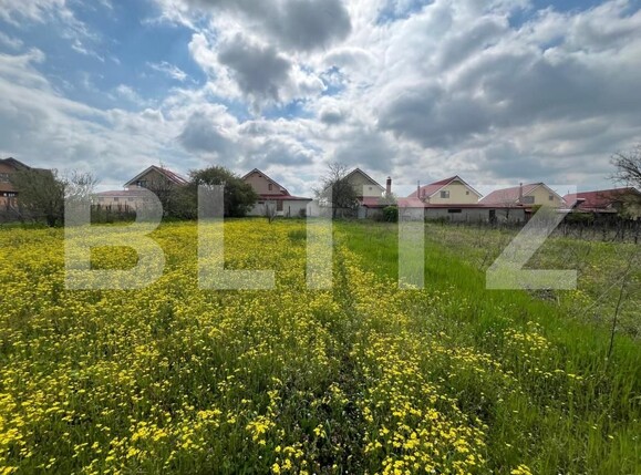 Teren de vânzare Malu Mare - 193059TV | BLITZ Craiova | Poza5