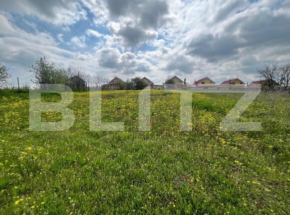 Teren de vânzare Malu Mare - 193059TV | BLITZ Craiova | Poza6
