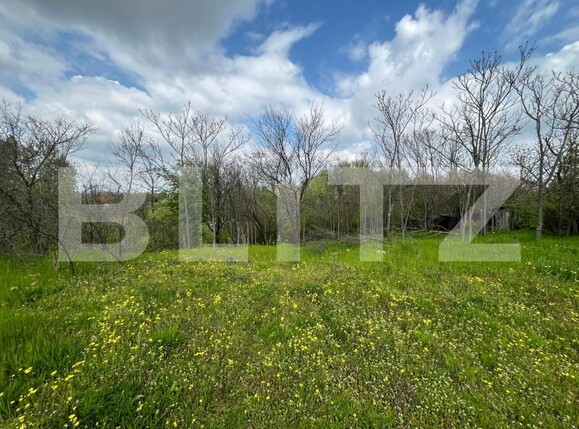 Teren de vânzare Malu Mare - 193059TV | BLITZ Craiova | Poza8