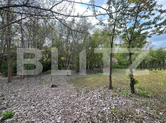 Teren de vânzare Malu Mare - 193059TV | BLITZ Craiova | Poza9