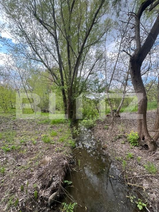 Teren de vânzare Malu Mare - 193059TV | BLITZ Craiova | Poza3