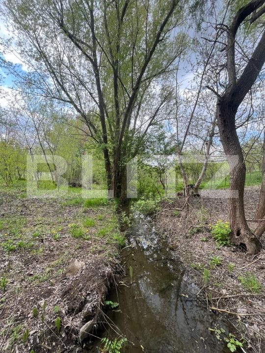 Teren de vânzare Malu Mare - 193059TV | BLITZ Craiova | Poza4