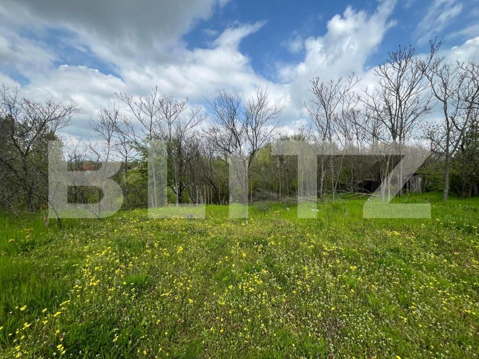 Teren de vânzare Malu Mare - 193059TV | BLITZ Craiova | Poza8