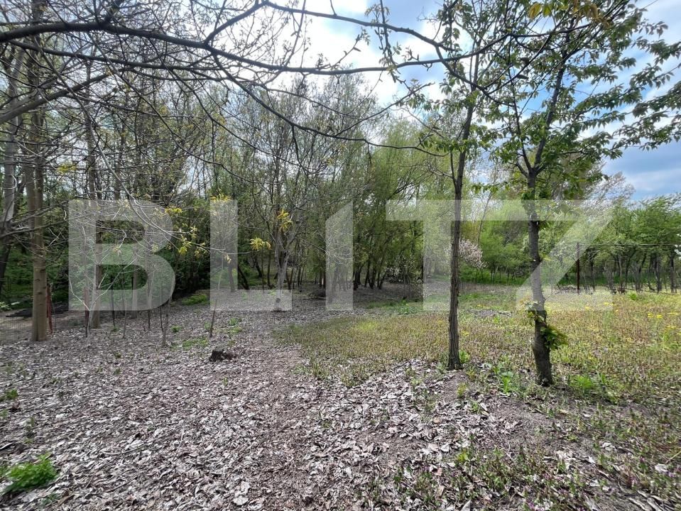 Teren de vânzare Malu Mare - 193059TV | BLITZ Craiova | Poza9