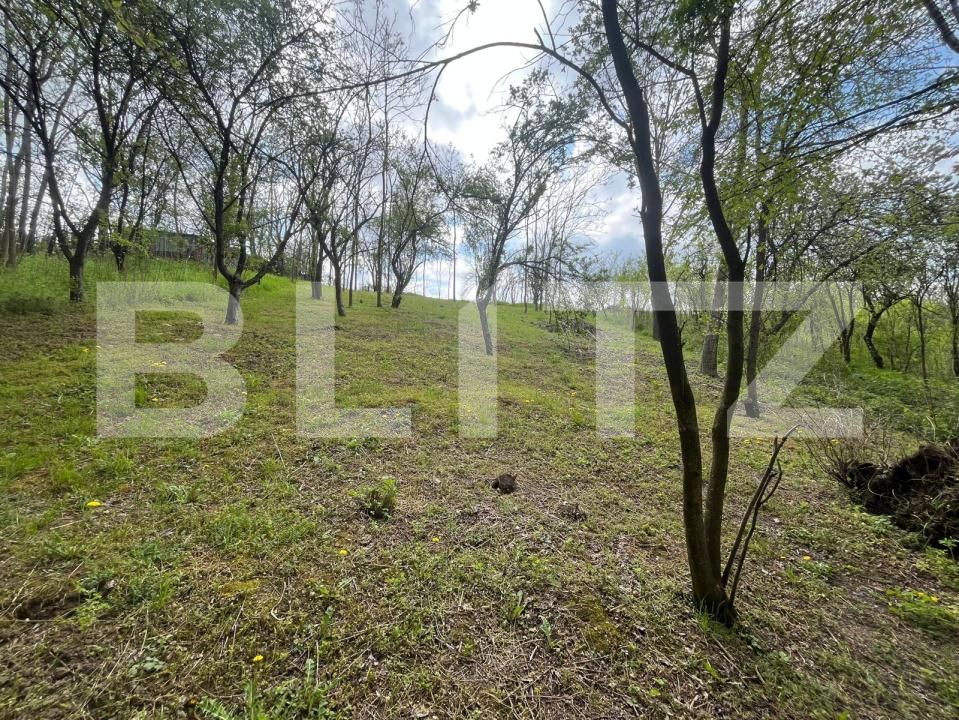 Teren de vânzare Malu Mare - 193059TV | BLITZ Craiova | Poza7