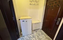 Garsoniera de inchiriat, aer conditionat, Lapus 