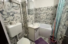 Garsoniera de inchiriat, aer conditionat, Lapus 