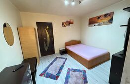 Garsoniera de inchiriat, aer conditionat, Lapus 