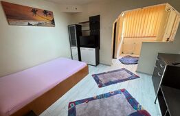 Garsoniera de inchiriat, aer conditionat, Lapus 