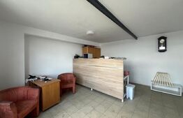 Teren 12.600 mp cu hală nouă 600 mp, oportunitate investiție