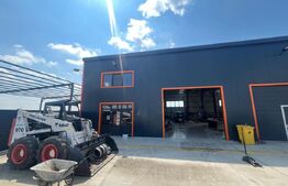 Teren 12.600 mp cu hală nouă 600 mp, oportunitate investiție