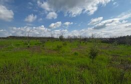 Teren intravilan 990 mp, front 33 ml, zona platou Cârcea