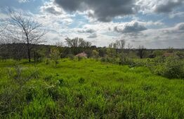 Teren intravilan 990 mp, front 33 ml, zona platou Cârcea
