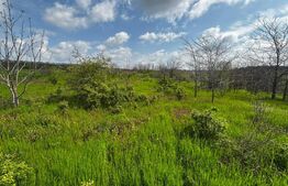 Teren intravilan 990 mp, front 33 ml, zona platou Cârcea