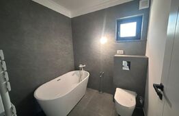 Casa P+1, 500 mp teren, zona Albesti