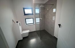 Casa P+1, 500 mp teren, zona Albesti