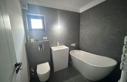 Casa P+1, 600 mp teren, zona Albesti