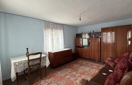 Casa pe parter, 115 mpc, 4505 mp teren, zona Bogea-Almaj