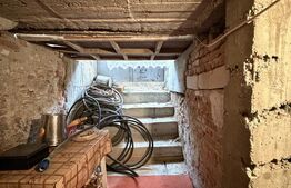 Casa pe parter, 115 mpc, 4505 mp teren, zona Bogea-Almaj