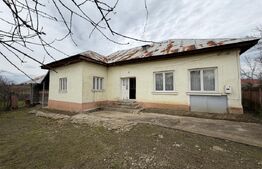 Casa pe parter, 115 mpc, 4505 mp teren, zona Bogea-Almaj