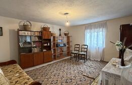 Casa pe parter, 115 mpc, 4505 mp teren, zona Bogea-Almaj