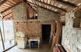 Casa pe parter, 115 mpc, 4505 mp teren, zona Bogea-Almaj