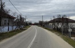 Casa pe parter, 115 mpc, 4505 mp teren, zona Bogea-Almaj