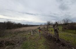 Casa pe parter, 115 mpc, 4505 mp teren, zona Bogea-Almaj