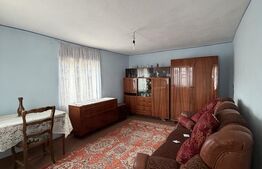 Casa pe parter, 115 mpc, 4505 mp teren, zona Bogea-Almaj