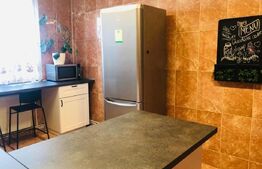 Apartament de lux, 3 camere, 120mp, curte proprie, loc de parcare privat