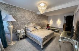 Penthouse 5 camere, 250 mp, zona Ciuperca