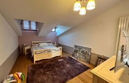 Penthouse 5 camere, 250 mp, zona Ciuperca