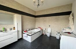 Penthouse 5 camere, 250 mp, zona Ciuperca