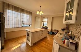 Penthouse 5 camere, 250 mp, zona Ciuperca