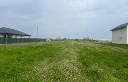 Teren de vanzare, 3800 mp, zona Isalnita 