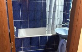 Garsoniera de inchiriat, 30 mp, zona Brazda Lui Novac