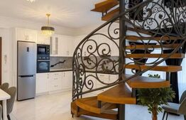 Penthouse de inchiriat, 170 mp utili, 4 camere, zona 1 Mai - Ciuperca 