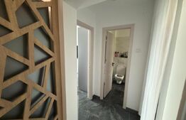 Apartamnet 2 camere, decomandat, 49 mp, zona Brazda lui Novac